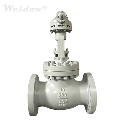 Globe Valve